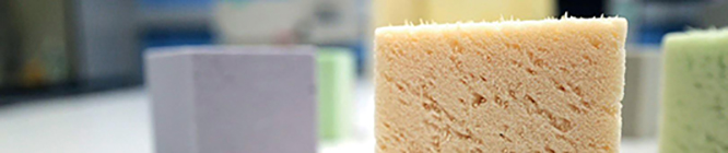 Foam