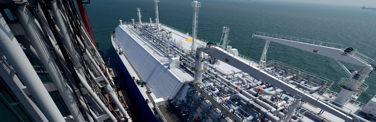 lng insights
